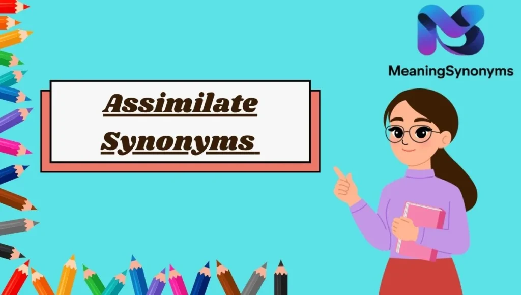 Assimilate Synonyms