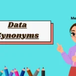 Data Synonyms