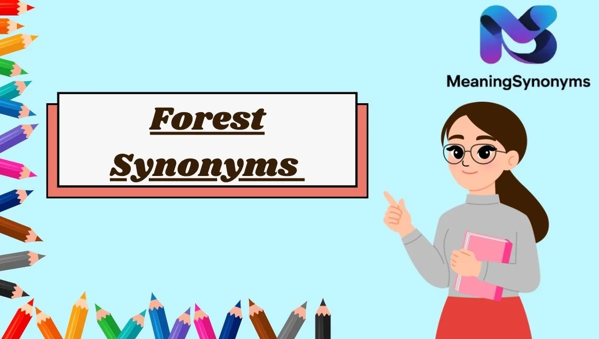 Forest Synonyms