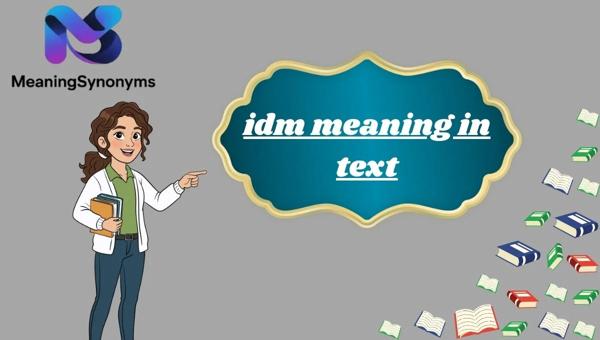 idm meaning in text