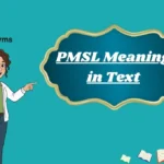 PMSL Meaning in Text
