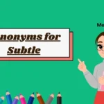 Synonyms for Subtle