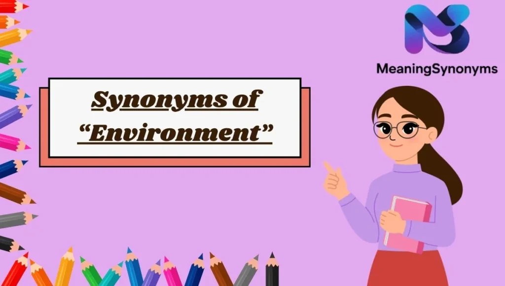 Synonyms of “Environment”