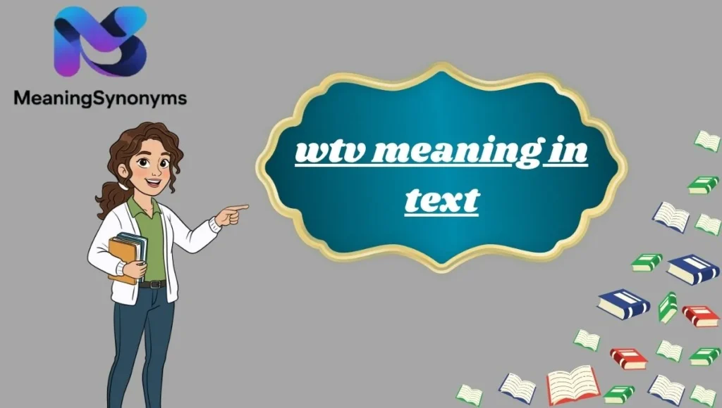 wtv meaning in text